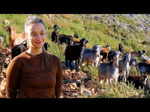 Pastirka iz Grčke i bosanska dijaspora: Ogledalo slobode i strpljenja